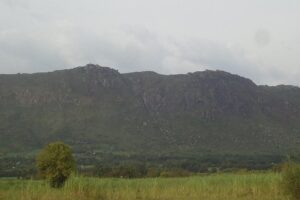 Gallery Thumbnail 2